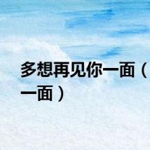多想再见你一面（见你一面）