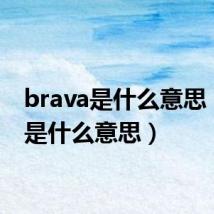 brava是什么意思(ava是什么意思)