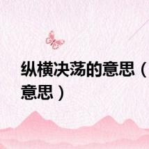 纵横决荡的意思（纵的意思）