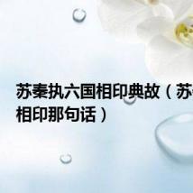 苏秦执六国相印典故(苏秦六国相印那句话)