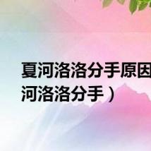 夏河洛洛分手原因（夏河洛洛分手）