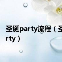 圣诞party流程(圣诞party)