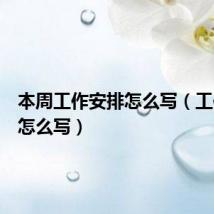 本周工作安排怎么写(工作安排怎么写)