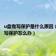 u盘有写保护是什么原因(u盘有写保护怎么办)