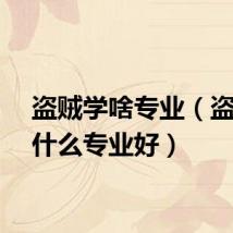 盗贼学啥专业（盗贼学什么专业好）