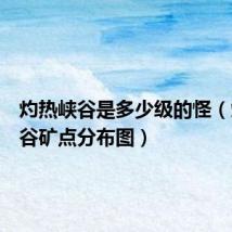 灼热峡谷是多少级的怪(灼热峡谷矿点分布图)