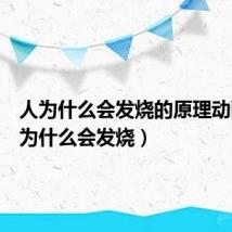 人为什么会发烧的原理动画(人为什么会发烧)