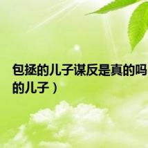 包拯的儿子谋反是真的吗(包拯的儿子)
