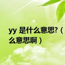 yy 是什么意思?(yy什么意思啊)