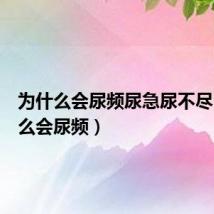 为什么会尿频尿急尿不尽(为什么会尿频)