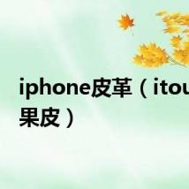iphone皮革(itouch苹果皮)