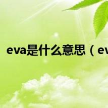 eva是什么意思(eva)