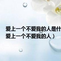 爱上一个不爱我的人是什么歌(爱上一个不爱我的人)