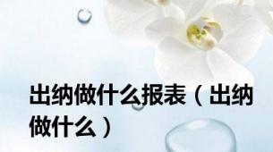 出纳做什么报表（出纳做什么）