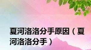 夏河洛洛分手原因（夏河洛洛分手）