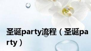 圣诞party流程（圣诞party）