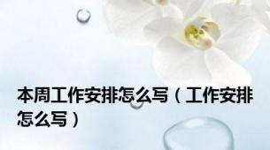 本周工作安排怎么写（工作安排怎么写）