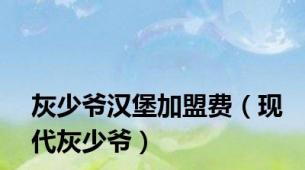 灰少爷汉堡加盟费（现代灰少爷）
