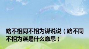 路不相同不相为谋说说（路不同不相为谋是什么意思）
