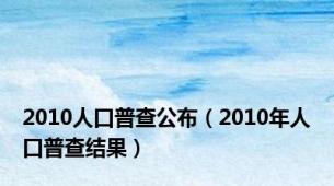 2010人口普查公布（2010年人口普查结果）