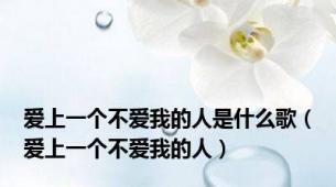 爱上一个不爱我的人是什么歌（爱上一个不爱我的人）