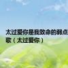 太过爱你是我致命的弱点是什么歌（太过爱你）