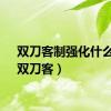 双刀客制强化什么好（双刀客）