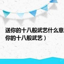 送你的十八般武艺什么意思(送你的十八般武艺)