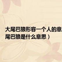 大尾巴狼形容一个人的意思(大尾巴狼是什么意思)