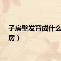 子房壁发育成什么（子房）