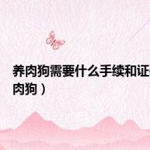 养肉狗需要什么手续和证件（养肉狗）