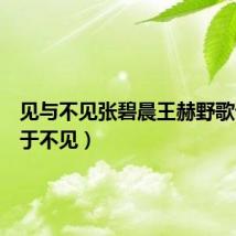 见与不见张碧晨王赫野歌词(见于不见)