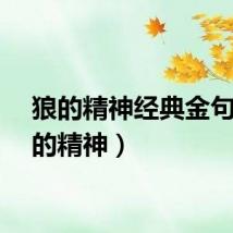 狼的精神经典金句（狼的精神）