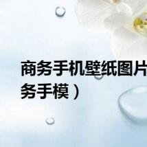 商务手机壁纸图片（商务手模）