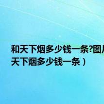 和天下烟多少钱一条?图片(和天下烟多少钱一条)