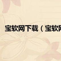 宝软网下载（宝软网）