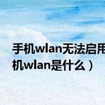 手机wlan无法启用(手机wlan是什么)