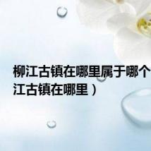 柳江古镇在哪里属于哪个省(柳江古镇在哪里)