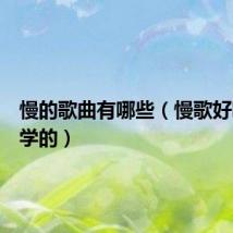 慢的歌曲有哪些（慢歌好听的好学的）