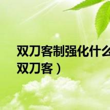 双刀客制强化什么好（双刀客）