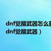 dnf觉醒武器怎么获得(dnf觉醒武器)