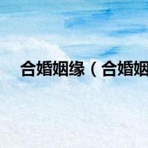 合婚姻缘（合婚姻）