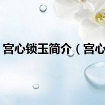 宫心锁玉简介（宫心锁）