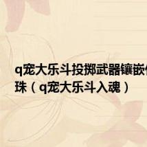 q宠大乐斗投掷武器镶嵌什么魂珠(q宠大乐斗入魂)