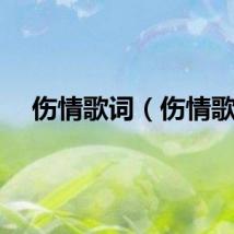 伤情歌词（伤情歌）