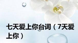 七天爱上你台词（7天爱上你）