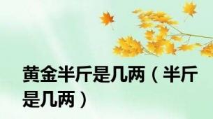 黄金半斤是几两（半斤是几两）
