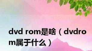 dvd rom是啥（dvdrom属于什么）