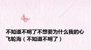 不知道不明了不想要为什么我的心飞轮海（不知道不明了）