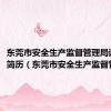 东莞市安全生产监督管理局谢主任简历（东莞市安全生产监督管理局）